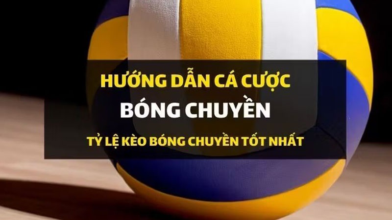 Hướng dẫn luật đánh kèo Volleyball có tỷ lệ cược tốt nhất