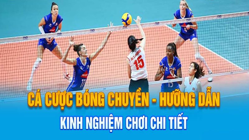 Mẹo nhận định bóng chuyền chuẩn nhất hôm nay