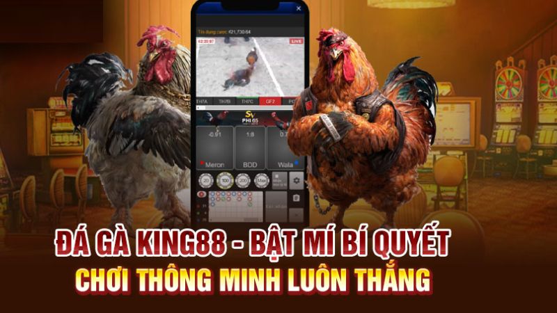 King88 - địa chỉ chơi đá gà trực tuyến uy tín và an toàn